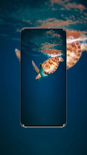 Turtle Wallpaper Screenshot 3