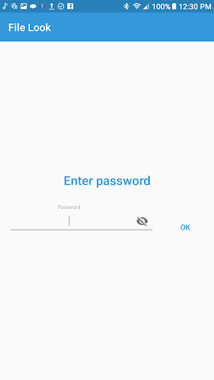 File Lock Screenshot 1