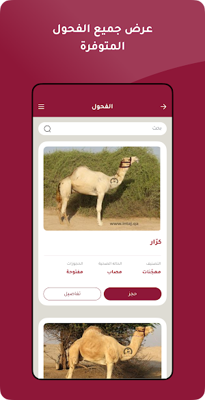 إنتاج أم الزبار Screenshot 3