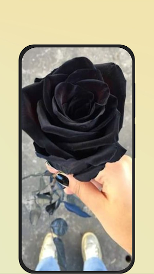 rose wallpaper Screenshot 3