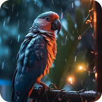 Animal Wallpaper & Backgrounds