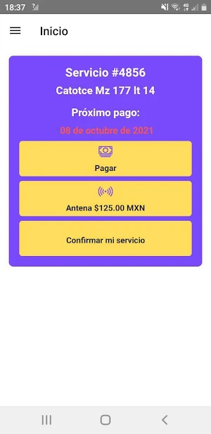 Siglo Internet Screenshot 2