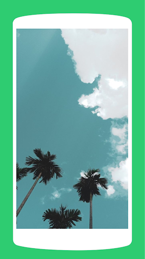 Coconut Tree Wallpaper HD 4K Screenshot 1