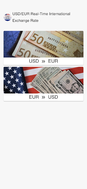 USD to Euro Screenshot 0