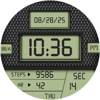 Digitec LCD Display WatchFace
