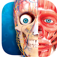 Virtual Reality Human Body!