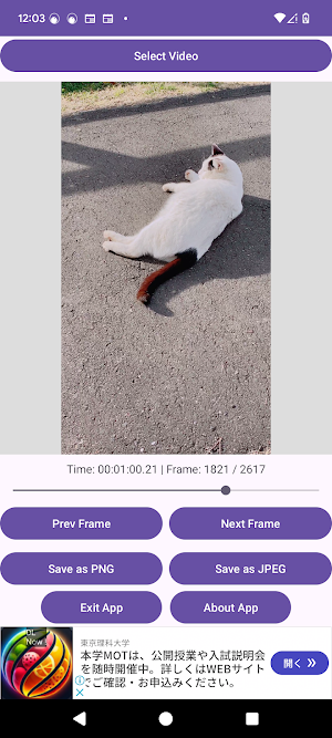Video To A Photo Screenshot 2