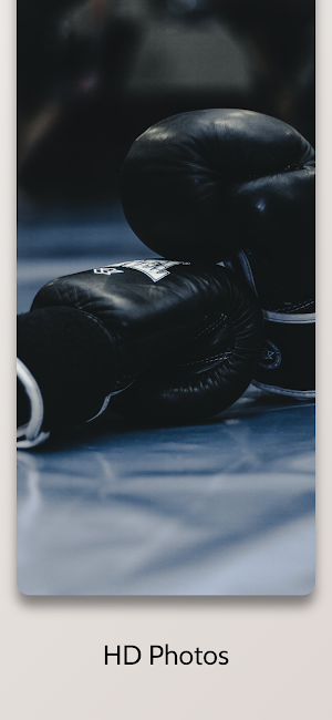 Kick Boxing Wallpaper 4K Screenshot 3