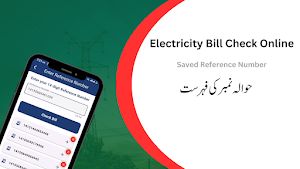 Electricity Bill Online Check Screenshot 2