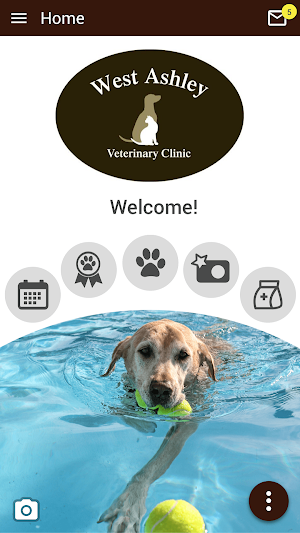 West Ashley Vet Screenshot 0