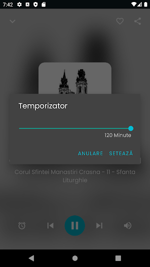Radiouri creștin ortodoxe Screenshot 3