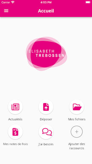 Elisabeth T : A vos côtés ! Screenshot 1