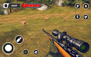 Wild Animal Hunting Games FPS Screenshot 3