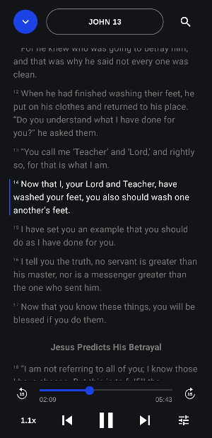 Amplify: Global Audio Bibles Screenshot 0