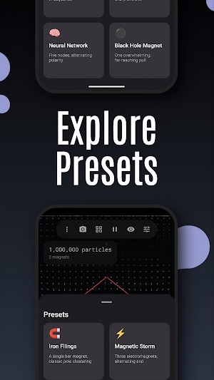 Magnetica: Magnetic Field Sim Screenshot 1
