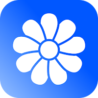 Gallery – Photos & Videos