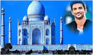 Taj Mahal Photo Montage Frames Screenshot 3