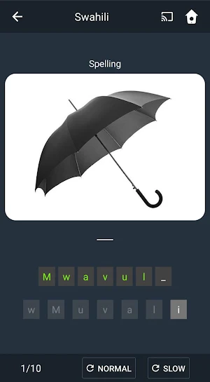 Learn Swahili. Speak Swahili. Study Swahili. Screenshot 3
