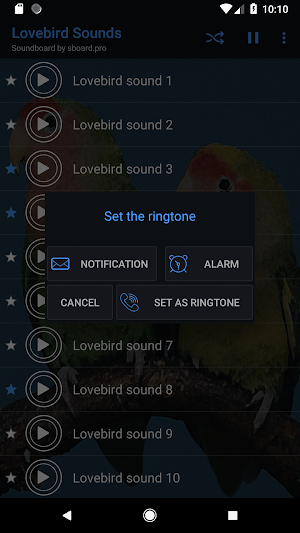 Lovebird sounds ~ Sboard.pro Screenshot 2