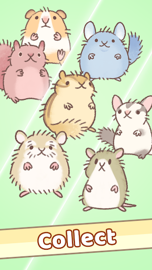 Hamster Race Screenshot 2