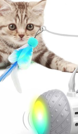 Games for Cats - Cat Toy Screenshot 1