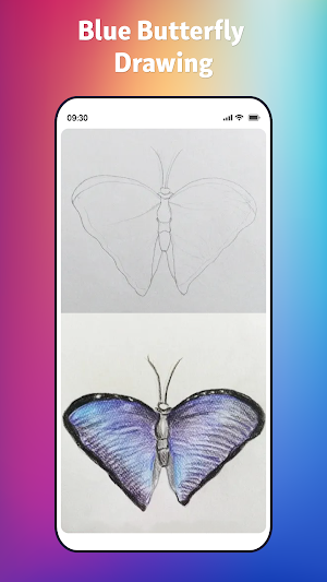 How to Draw Butterfly Screenshot 2