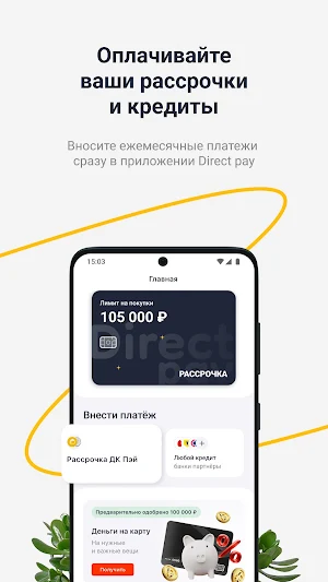 Direct Pay Screenshot 0
