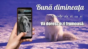 Romanian Morning & Night Greet Screenshot 3