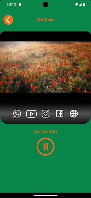 Rede Verdes Campos Sat Screenshot 3