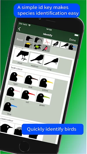 All Birds Northern South Ameri Screenshot 3