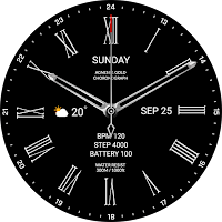 MIMIX MX Platinum S1 Watchface