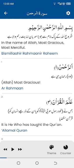Surah Rahman سورة الرحمن Screenshot 3