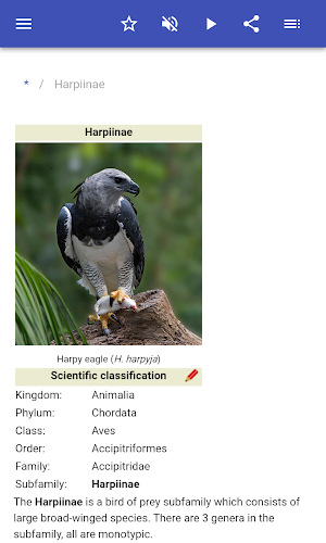 Hawks Screenshot 1