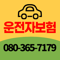 KB운전자보험