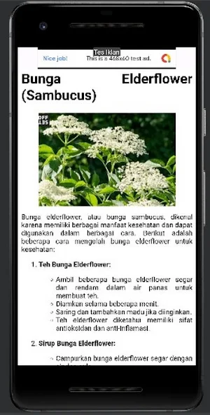Herbal Plants Screenshot 1