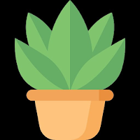 HOUSEPLANT CARE GUIDE