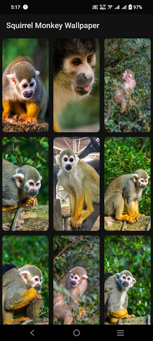 Squirrel Monkey Wallpaper Screenshot 2