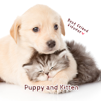 Puppy and Kitten Theme