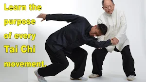Tai Chi Martial Applications Screenshot 3