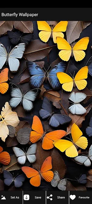 Butterfly Wallpaper Screenshot 2