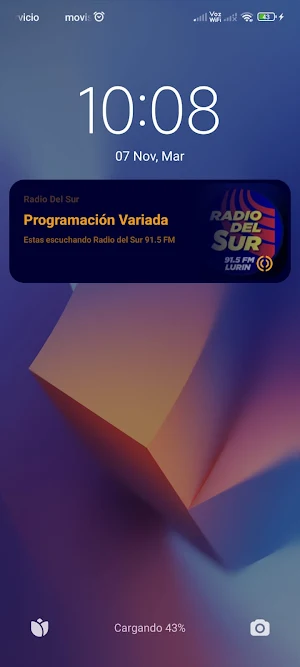 Radio Del Sur 91.5 FM Screenshot 3