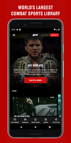 UFC Screenshot 2