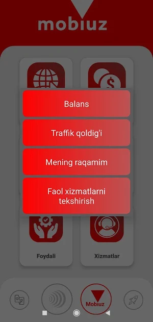 Ussd 2021 Screenshot 3