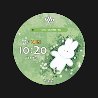 SamWatch T Toon R・T V11