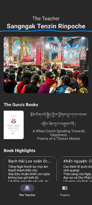 Longchen Screenshot 1