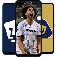 Pumas Wallpapers