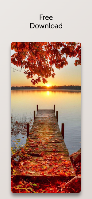 Beautiful  Autumn Wallpaper HD Screenshot 3