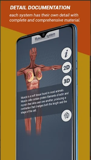 Female Anatomy3D Female Organs Screenshot 1