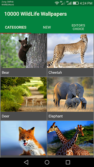 10000 WildLife Wallpapers Screenshot 0