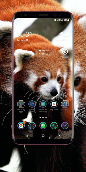 Red Panda Wallpaper Screenshot 0